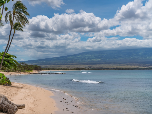 Beachfront Vacation Rental with Two Bedrooms