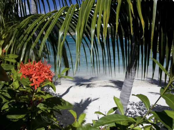 St. Thomas Beachfront Villa Rental - Caribbean Luxury Vacation Home