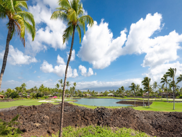Elegant Waimea Condo with Mountain & Ocean Access