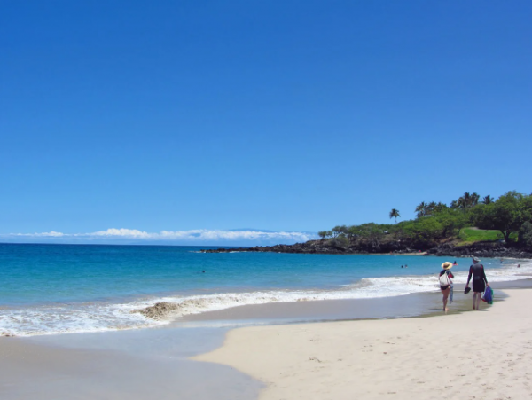 Elegant Waimea Condo with Mountain & Ocean Access
