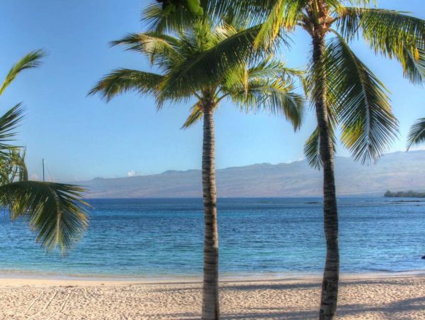 Waimea Vacation Rental: Luxurious Hawaiian Retreat Awaits