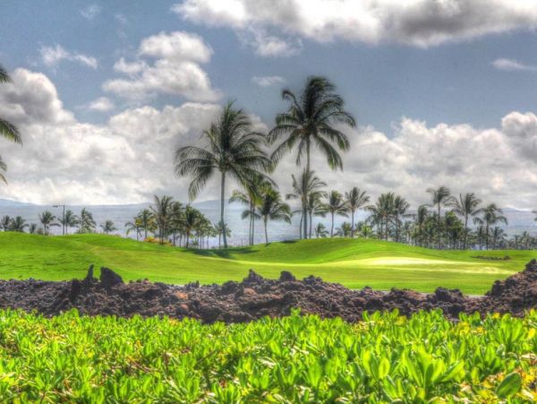 Waimea Vacation Rental: Luxurious Hawaiian Retreat Awaits