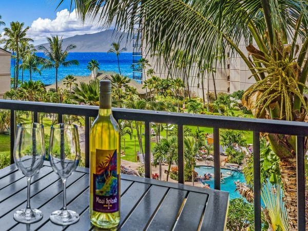 Beautiful Vacation Rental One Bedroom & Ocean Views