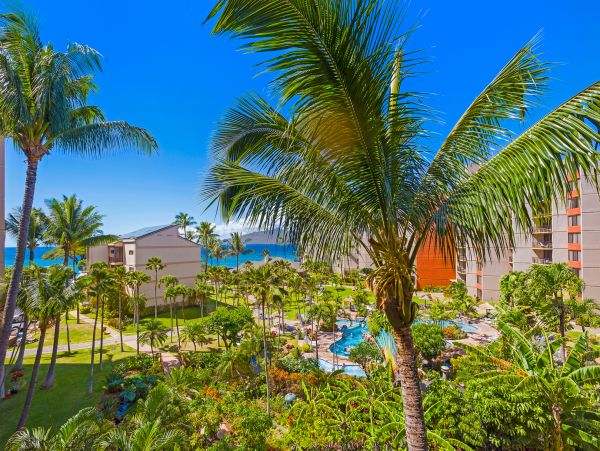 Beautiful Vacation Rental One Bedroom & Ocean Views