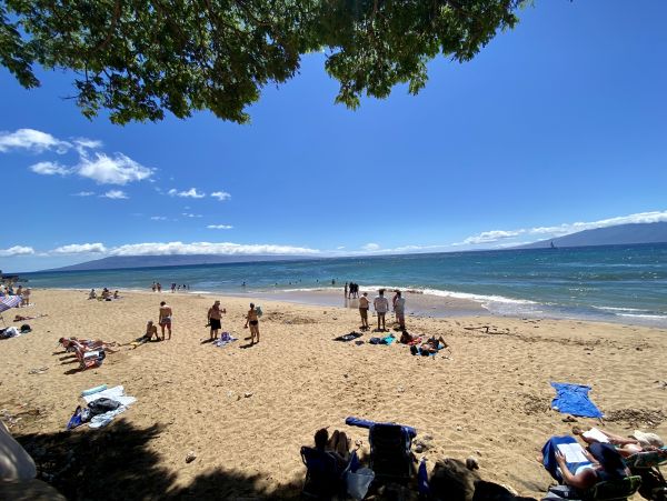 Beautiful Vacation Rental One Bedroom & Ocean Views