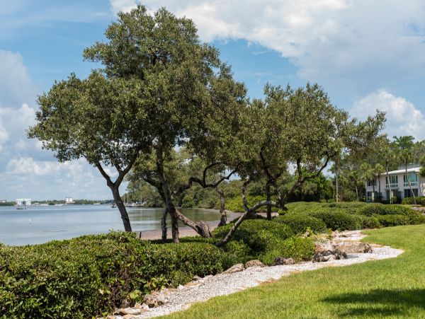 Bayfront Vacation Condo with 2 Bedrooms in Holmes Beach