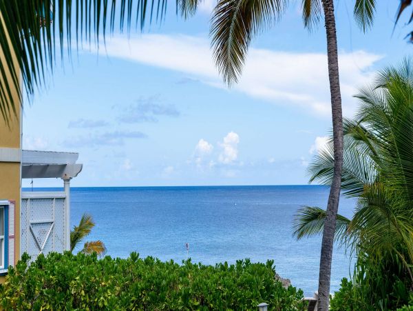 Best Vacation Rental in Cayman Islands Oceanfront