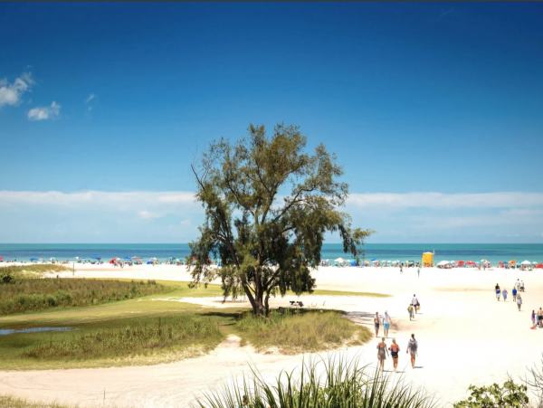 Siesta Key Luxury Vacation Rental - Four-Bedroom Private Pool Home
