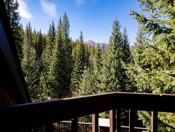 Breckenridge Cozy Three Bedroom Vacation Rental