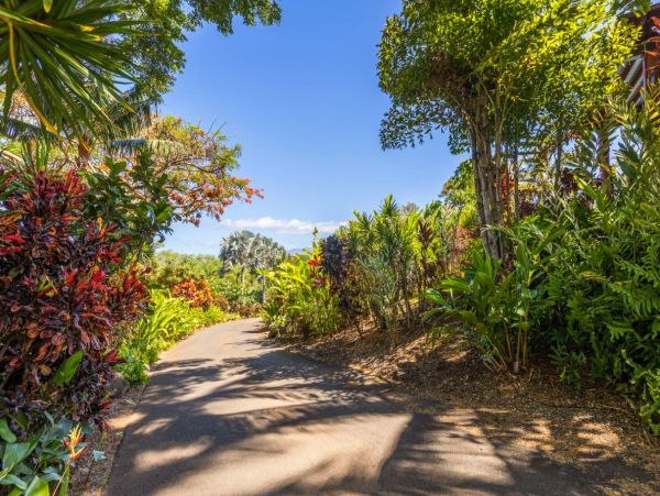 Oceanfront Luxury Four Bedroom Vacation Rental Home