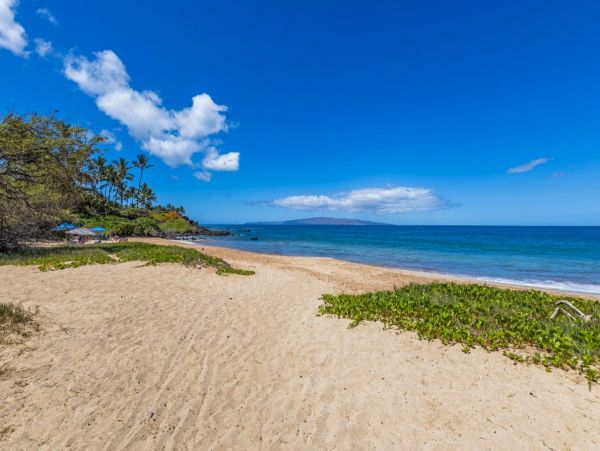 Oceanfront Luxury Four Bedroom Vacation Rental Home