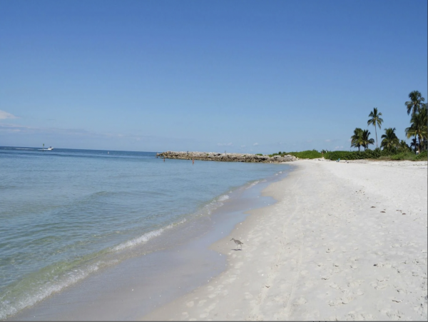 Located South of Central Avenue Olde Naples