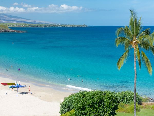 Your Hawaiian Paradise Awaits Your Arrival!