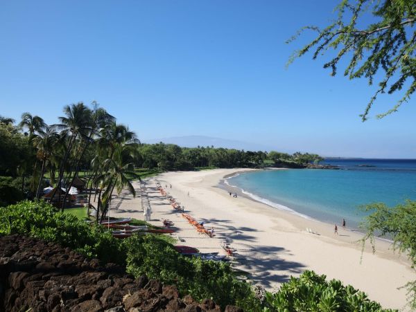Your Hawaiian Paradise Awaits Your Arrival!