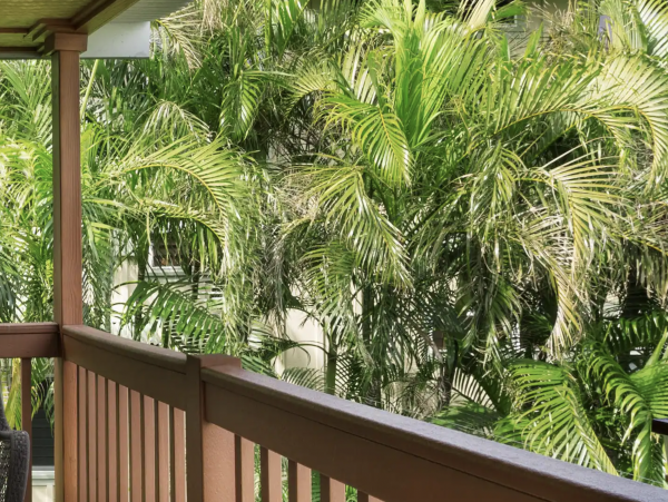 Big Island Beach Villa Pool Pacific Views Spectacular.
