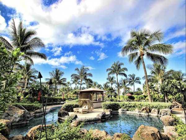 Maui Beachfront Three Bedroom Delight JUST IN