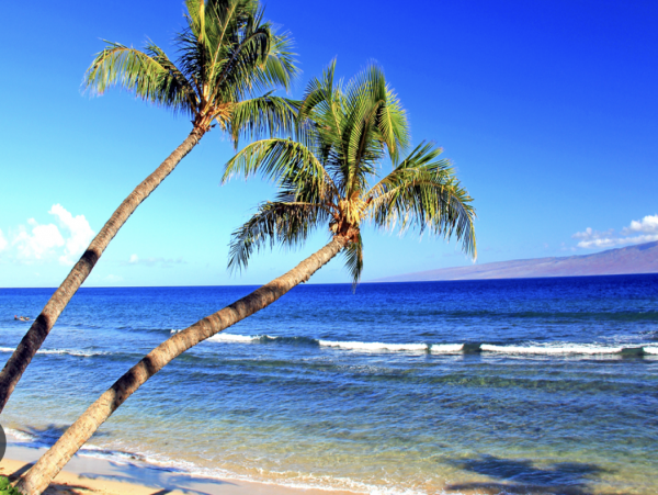 Maui Beachfront Three Bedroom Delight JUST IN