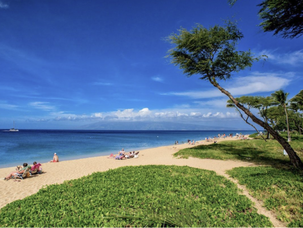 Maui Beachfront Three Bedroom Delight JUST IN