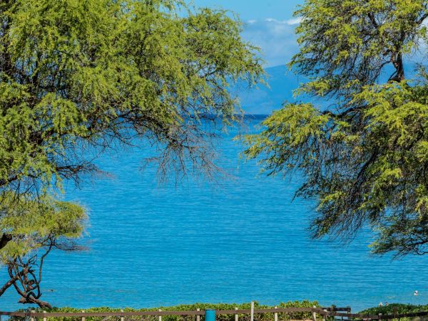 Maui Tropical Paradise Retreat: Ground-Floor Condo with Resort Amenities & Beach Access