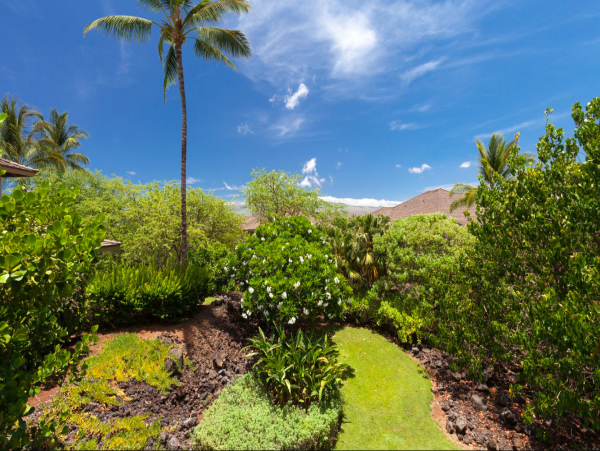 Luxury Hawaiian Retreat: Spacious, Upscale Home on Big Island