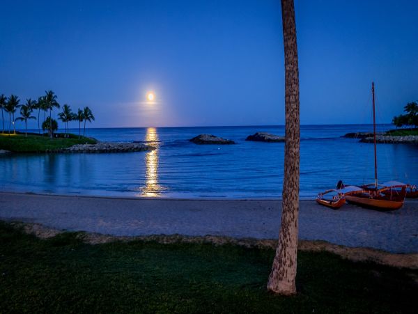 Three Bedroom Luxurious Rental in Kapolei
