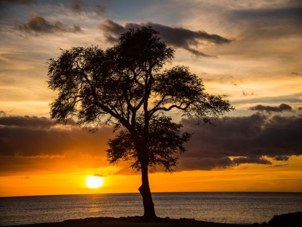 Three Bedroom Luxurious Rental in Kapolei