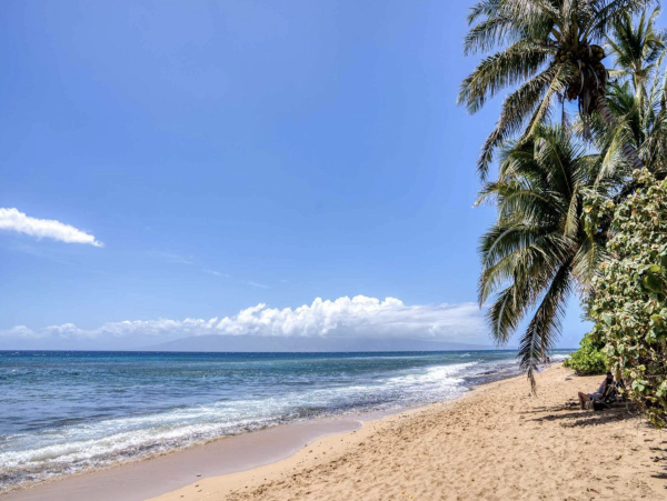 Eight Bedroom Beachfront Maui Vacation Rental
