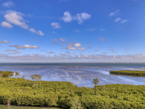 Bayside Beauty Longboat Key Beach Club Access Walk to St. Regis Beach Club