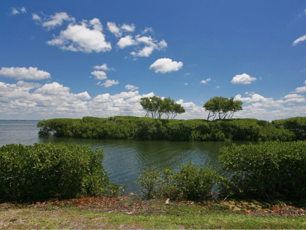 Bayside Beauty Longboat Key Beach Club Access Walk to St. Regis Beach Club
