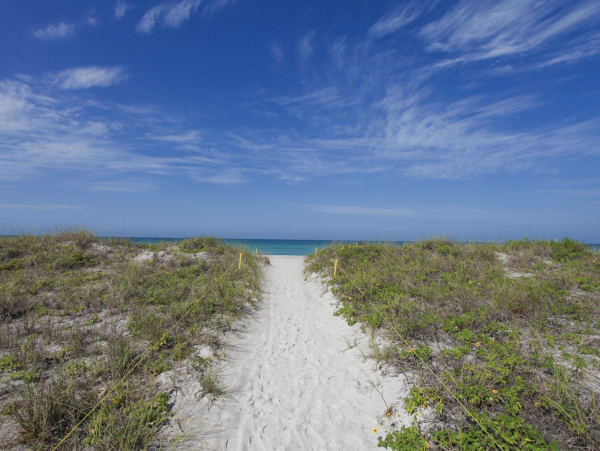 Bayside Beauty Longboat Key Beach Club Access Walk to St. Regis Beach Club