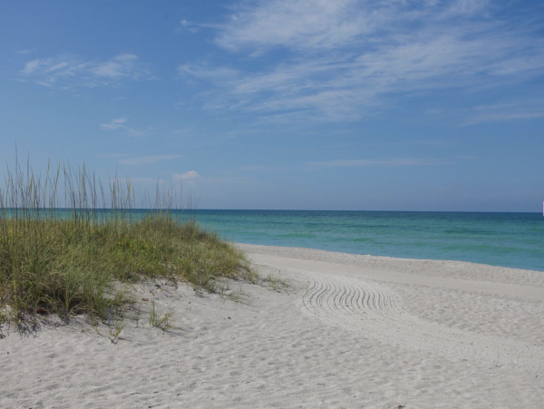 Bayside Beauty Longboat Key Beach Club Access Walk to St. Regis Beach Club