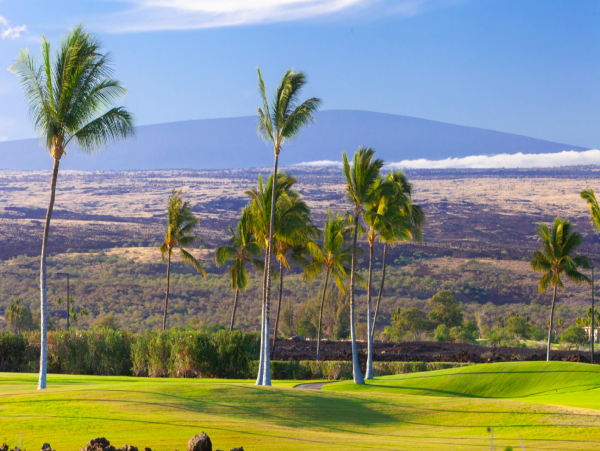 Kohala Coast Luxury 4-Bedroom Retreat with Ocean Views