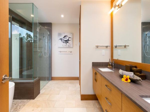 Kohala Coast Luxury 4-Bedroom Retreat with Ocean Views