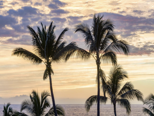 The Ultimate Island Pool Home Pure Luxury in Kailua-Kona