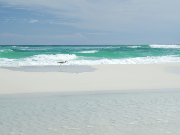 Navarre Beach Retreat Four Bedroom Stunning Rental!