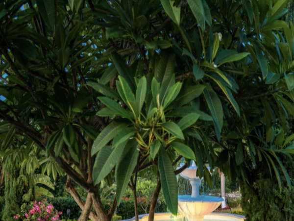 Jamaica Seven Bedroom Rental Estate with Amazing Golf Course & Ocean Views