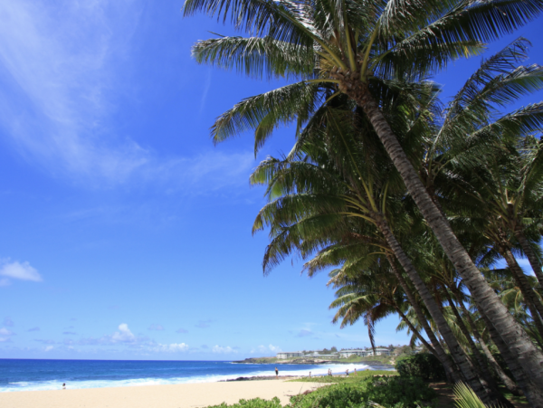 South Shore Luxury Plantation Home Kauai Stroll to Poipu Beach