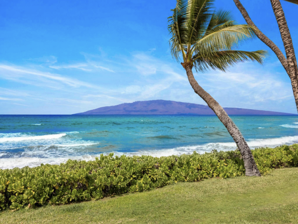 Just A Few Feet From the Ocean Pure Maui Luxury Awaits