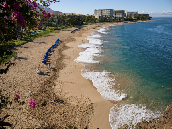 Just A Few Feet From the Ocean Pure Maui Luxury Awaits