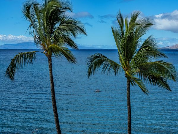 Multi Million Dollar Views Truly World Class Maui Setting