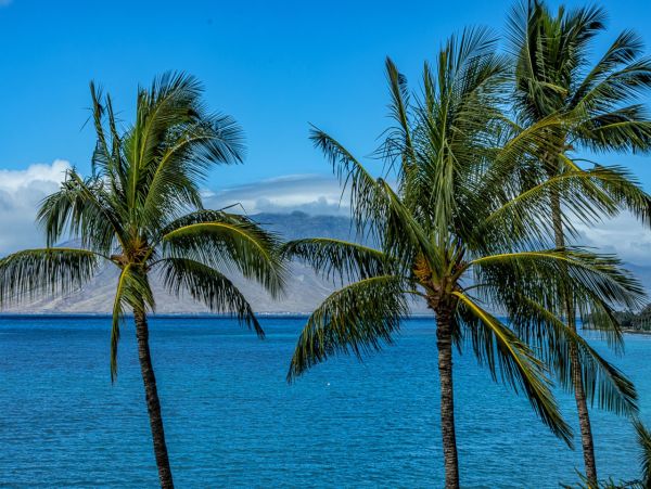 Multi Million Dollar Views Truly World Class Maui Setting