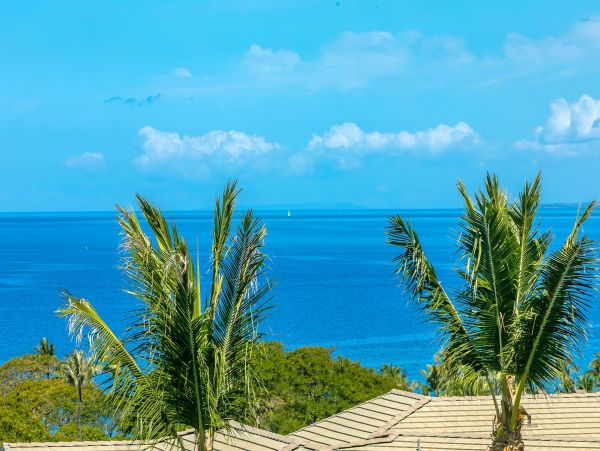 Wailea Luxury Villa Amazing Interior & Beach Community