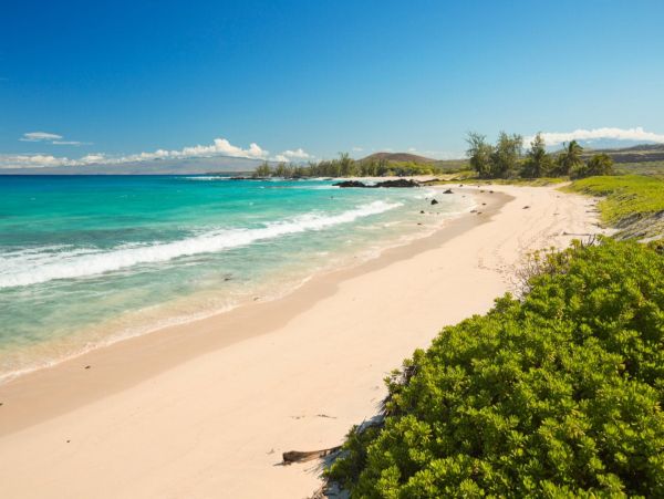 Makaha Valley Vacation Rental Oahu Vacation Home with Ocean Views