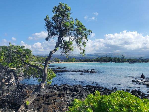 Waikoloa Vacation Rental | Big Island Luxury Condo with 3 Bedrooms