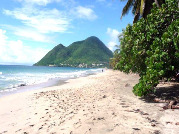 Luxury Caribbean Villa Rental in Martinique 5-Bedroom Beachfront Villa with Pool