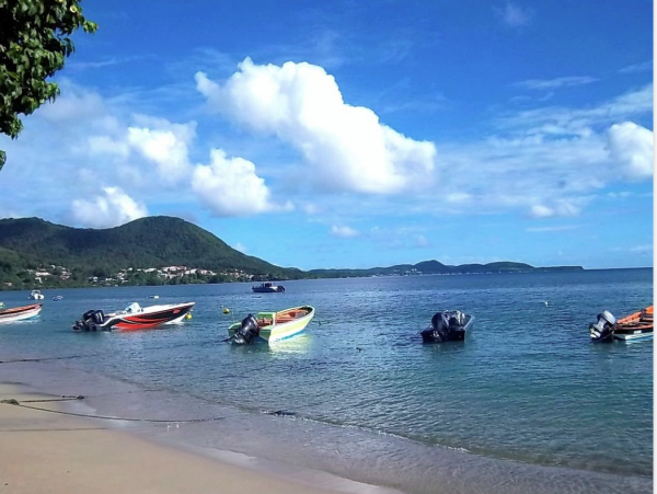 Luxury Caribbean Villa Rental in Martinique 5-Bedroom Beachfront Villa with Pool