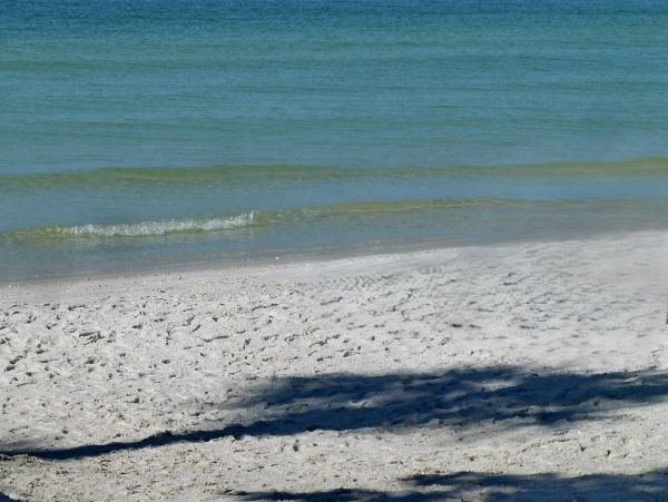 Luxury Beach House Four Bedroom in Treasure Island - Perfect Getaway