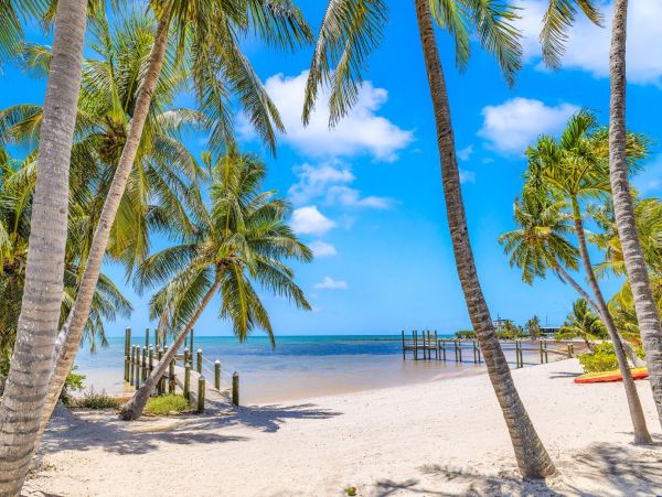 Luxury Private Beachfront  Vacation Home with Heated Pool
