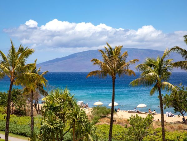 Maui New Arrival Four Bedroom Four Bathroom Unit Sleeps 12.