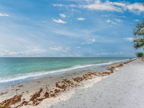 Beachfront Home on Manasota Key - Your Dream Getaway